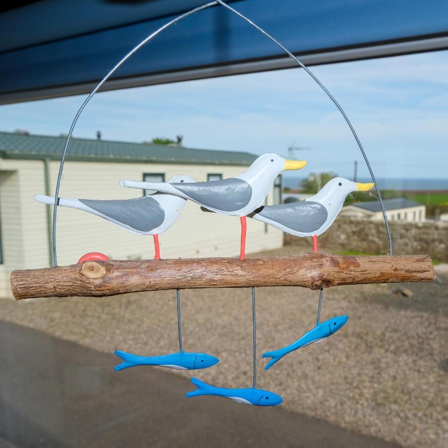 Kittiwake Apartment Saint Cyrus Exterior photo